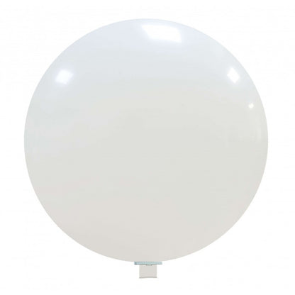 CATTEX 70" Rundballon | Pastell - nastila balloons